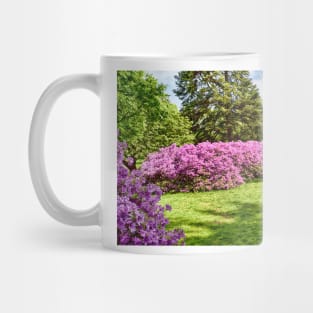 Spring Colors Mug